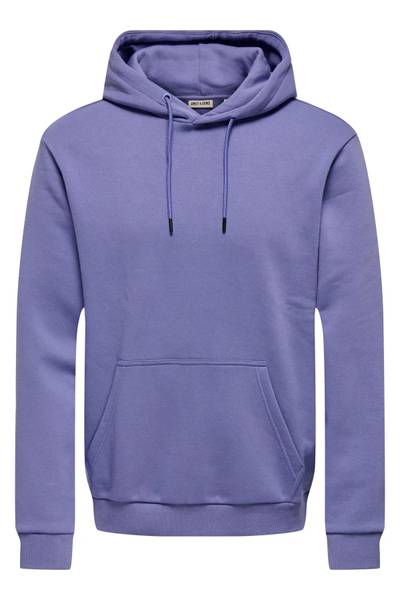 Basic Ceres Hoodie Purple Only & Sons